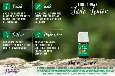 Jade Lemon Young Living Captain Eo, Young Living Products, Benefits Of Essential Oils, Vetiver Essential Oil, Yl Oils, Lemon Essential Oil, Essential Oils Guide, Essential Oils Bath, Yl Essential Oils