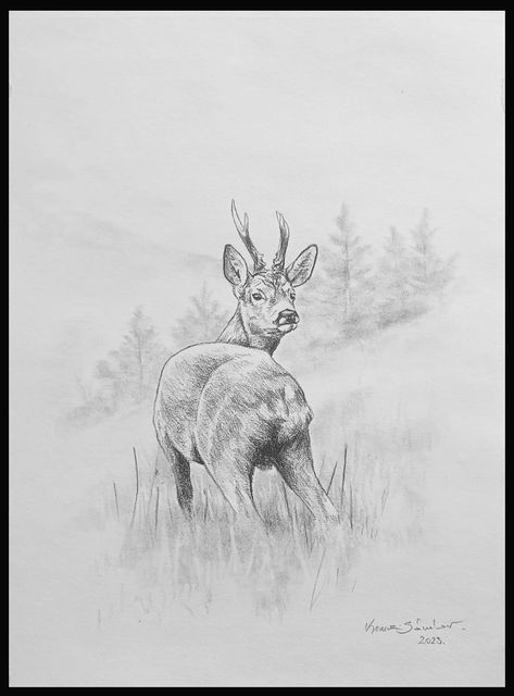 Roe Deer Drawing, Deer Drawings, Deer Drawing, Farm Paintings, Roe Deer, Homemade Christmas Cards, A Deer, Ink Pen Drawings, Homemade Christmas