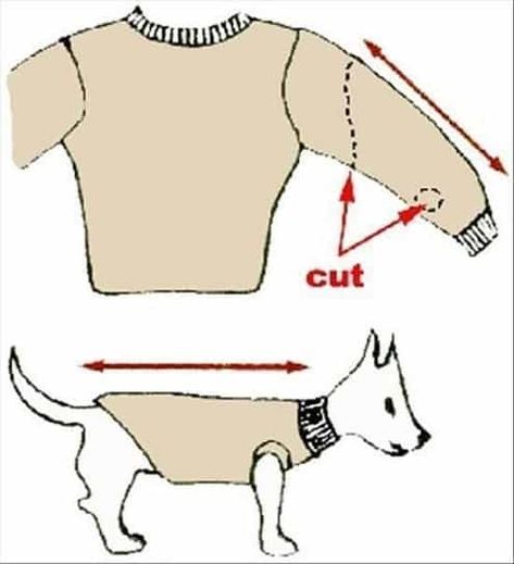 15 DIY Dog Sweater Designs: Homemade Sweaters For Your Pup! Diy Dog Sweater, Diy Dream Catcher, Puppy Diy, Dogs Clothes, Dog Sweater Pattern, Dog Clothes Diy, Diy Clothes Refashion, Recycled Sweaters, Diy Clothes Videos