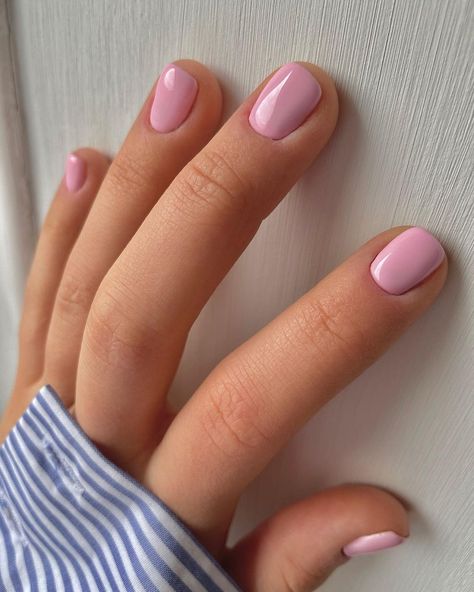 Pink Nail Manicure, Pastel Shellac Nails, Short Gel Nails Spring Simple, Shellac On Short Nails, Simple Pink Nails Short, Pastel Dip Nails, Short Plain Nails, Short Nails Pastel, Short Pastel Nails