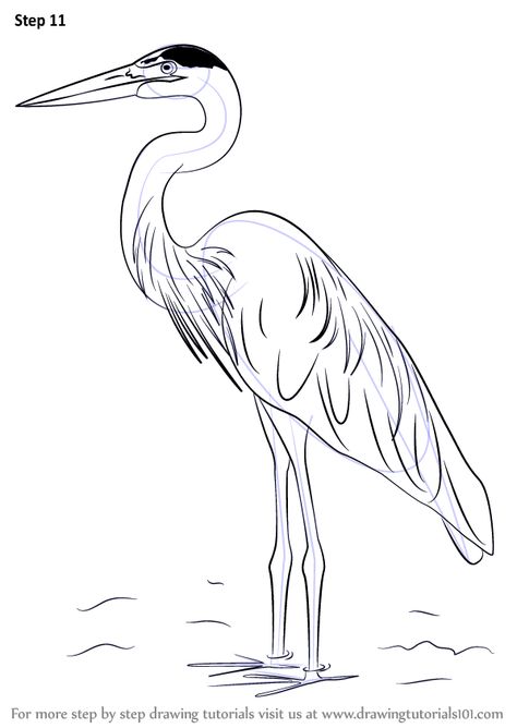 Learn How to Draw a Great Blue Heron (Birds) Step by Step : Drawing Tutorials Heron Art, Great Blue Heron, Hur Man Målar, Drawing Supplies, Step Drawing, Learn How To Draw, Blue Heron, Bird Drawings, Watercolor Bird