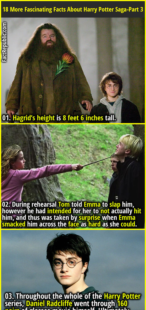 01. Hagrid’s height is 8 feet 6 inches tall. Harry Potter Facts Unknown, Facts About Harry Potter, About Harry Potter, Fact Republic, Harry Potter Facts, Fascinating Facts, Garage Design, Facts About, Trivia