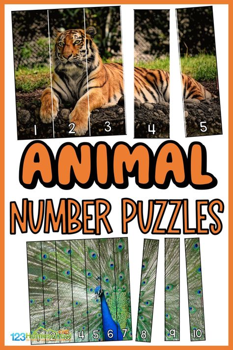 Grab these Animal Puzzles for a fun way to practice number sequencing and have fun with real pictures of fascinating wild animals at the same time. If your child likes cute animals, then this animal math is sure to interest them and make this an engaging number sequencing game for your preschool, pre-k, and kindergarten age students. Simply print the free animl printables to use this number sequencing activities for preschoolers. Number Sequencing Activities, Zoo Animals Preschool Activities, Wild Animals Printable, Zoo Activities Preschool, Animal Math, Sequencing Numbers, Zoo Animals Preschool, Preschool Jungle, Jungle Activities