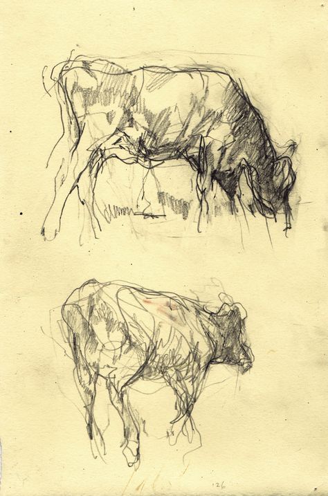 Lee Newman Art Sketches Animals, Lee Newman, Sketches Animals, Alberto Giacometti, Animal Drawing, Gesture Drawing, Cow Art, Arte Sketchbook, Arte Inspo