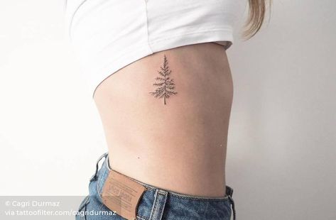 Pine. Maine Tattoo Ideas Simple, New England Tattoo Ideas, Maine Tattoo Ideas, Maine Tattoos, Outdoor Tattoo, Model Tattoos, Dragons Tattoo, Simple Tattoos For Women, Tattoo T