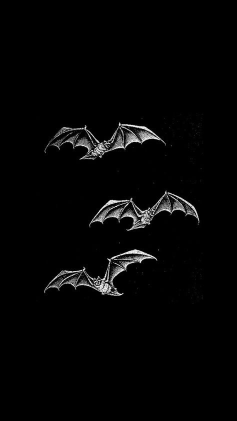 Bat Lockscreen, Orion Zodiac Academy, Lance Orion Zodiac, Scary Drawings, Zodiac Academy, Star Black, Technology Wallpaper, Tattoo Art Drawings, Skull Wallpaper