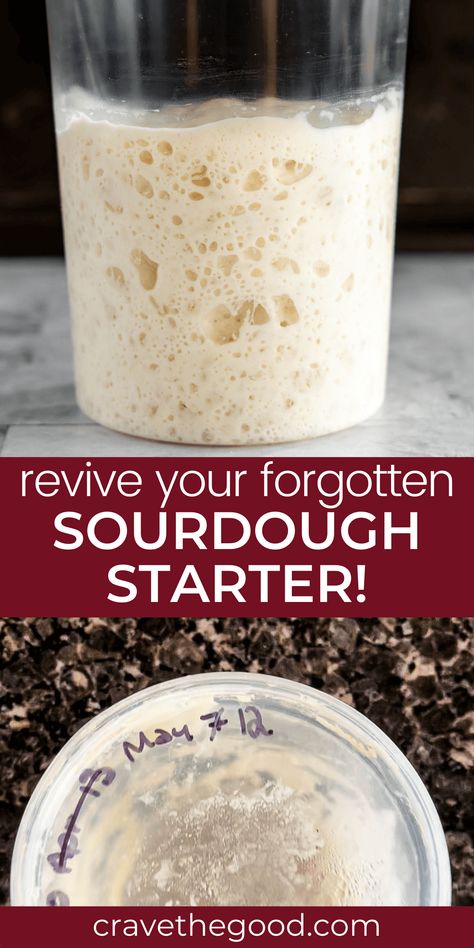 Sour Dough Bread Starter Recipe, Best Sourdough Starter Recipe, Dough Starter Recipe, Make Sourdough Starter, Sourdough Starter From Scratch, Make A Sourdough Starter, Sourdough Bread Starter, Dough Starter, Sourdough Starter Discard Recipe