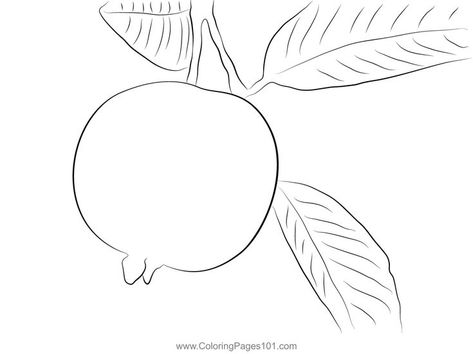 Guava On Tree Coloring Page Tree Coloring, Tree Coloring Page, Free Kids, Printable Coloring Pages, Printable Coloring, Coloring Pages For Kids, Coloring Page, Free Printable, Coloring Pages