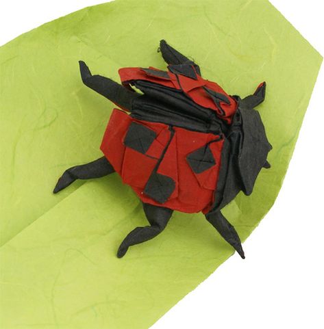 Ladybug - Marc Kirschenbaum's Sakura Origami Given the subject’s near universal appeal (some regard its presence as good luck), this ladybug is showcased on the cover of Origami Bugs. To obtain the specific pattern of dots on the wings, each spot is treated as an actual appendage. sakuraorigami.com Origami Bugs, Origami Ladybug, Sakura Origami, Origami Insects, Bring Up, The Wings, Good Luck, Bugs, Rooster