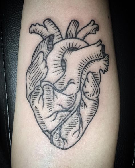 Line work heart for Stephanie . . . #illustration #linework #lineworktattoo #anatomicalheart #hearttattoo #thebutcher #1337tattoos… Anatomical Heart Tattoo Designs, Real Heart Tattoos, Human Heart Tattoo, Realistic Heart Tattoo, Anatomical Tattoos, Traditional Heart Tattoos, Anatomy Tattoo, Brain Tattoo, Red Heart Tattoos