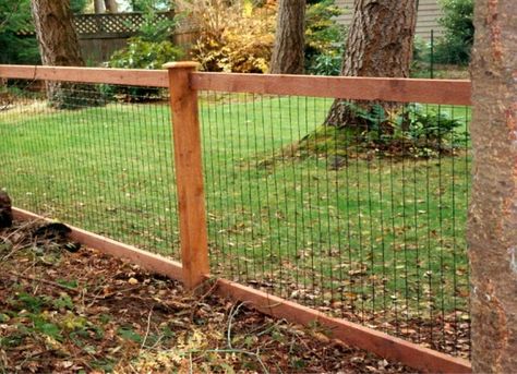 Orchard Fence, Wire And Wood Fence, Chicken Wire Fence, Welded Wire Fence, Deer Fence, Pet Fence, Diy Fence, Farm Fence, Wire Fence