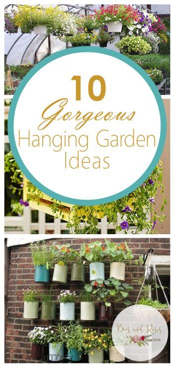 10 Gorgeous Hanging Garden Ideas Hanging Garden Ideas Diy Projects, Hanging Bucket Planter, Hanging Garden Decor, Farm Exterior, Hanging Garden Ideas, Hanging Plants Outdoor, Hanging Plants Diy, Indoor Plant Wall, Rose Gardening