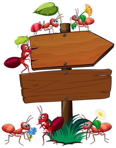 Free Vector | Insect with wooden frame board banner Safari Theme Classroom, Pictures Of Insects, Animation Art Character Design, Safari Theme, Khalid, Camping With Kids, Classroom Themes, After School, Ants