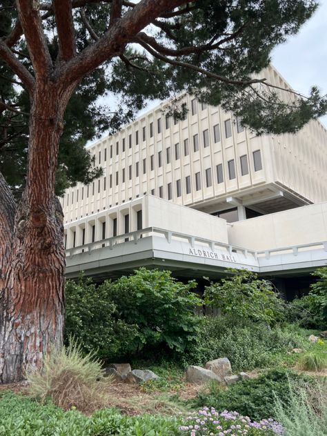 Uc Irvine Aesthetic, Uc Irvine Campus, Uc Irvine, University Of California Irvine, College Apps, Ca History, Dream College, Digital Archives, 2024 Vision