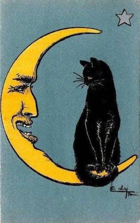 From a vintage French postcard, circa 1917 A Black Cat, A Drawing, Crescent Moon, A Cat, A Black, Crescent, The Moon, Black Cat, Moon