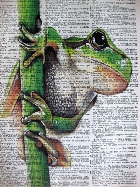 Green Tree Frog, Newspaper Art, Book Page Art, Dictionary Art, Frog Art, Tree Frog, A Frog, Green Tree, Mix Media