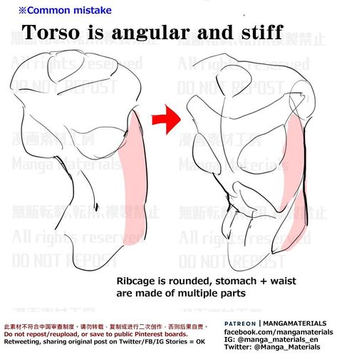 Manga Materials, Anatomy Tutorial, Art Advice, Human Anatomy Drawing, Human Anatomy Art, Anatomy Sketches, Body Reference Drawing, Anatomy For Artists, 캐릭터 드로잉