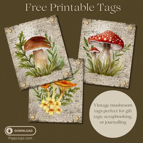 🌿✨ Freebie Alert! ✨🌿 Calling all mushroom lovers and vintage enthusiasts! 🍄💌 Elevate your gift wrapping, scrapbooking, and journaling with these charming vintage mushroom gift tags—perfect for adding a whimsical touch to any project! 🎁📖 Visit pippijojo.com now to download your FREE printable mushroom tags! 🌸🌿 Let your creativity bloom with these enchanting designs. 🌱 Don’t miss out—grab them today and make your gifts and crafts extra special! 💖 #FreePrintable #VintageMushroomTags #GiftTag... Fairytale Decor, Free Printable Tags, Whimsical Home, Vintage Mushroom, Nature Inspired Decor, Mushroom Decor, Cottagecore Decor, Handmade Art, Vintage Tags