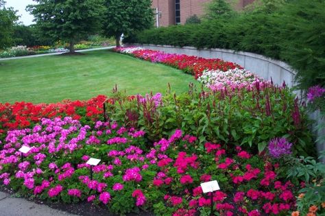 Like the blocks of color Mansion Flower Garden, Boulevard Garden Minnesota, Missouri Butterfly Garden, Flower Garden Pictures, Meijer Gardens Michigan, Garden Flowers Perennials, Flower Garden Design, Children's Garden, Garden Cottage