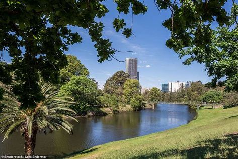 Before and after photos show Sydney's Parramatta River breaking banks Swan River Perth, Sydney Bridge, Sydney Bridge Climb, Modern Scene, Chao Phraya River In Bangkok, Hillsborough River State Park, Sydney, Water