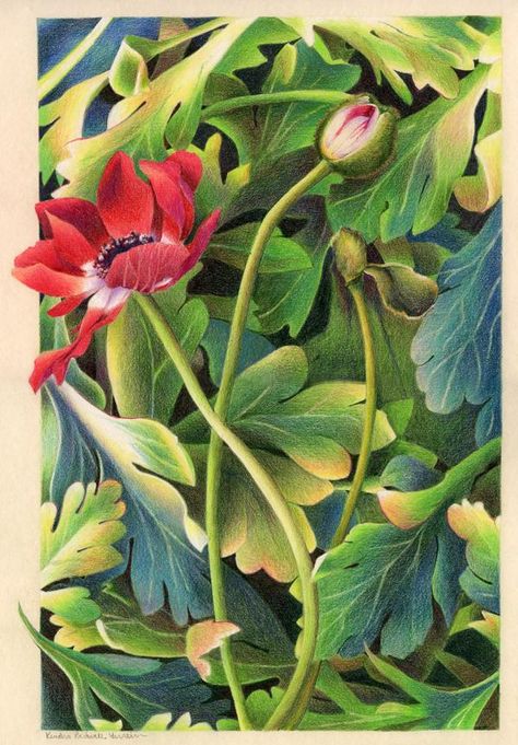 Kendra Bidwell Ferreira: Colored Pencil and Other Mediums Pencil Plant, Ampersand Art, Pencil Inspiration, Color Pencil Illustration, Colored Pencil Artwork, Pen Art Drawings, Pastel Paintings, Colour Pencil, Pencil Painting