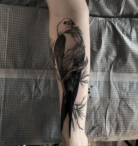 Swallow Tailed Kite Tattoo, Swallow Tailed Kite, Kite Tattoo, Birds, Thank You, Tattoos, On Instagram, Instagram