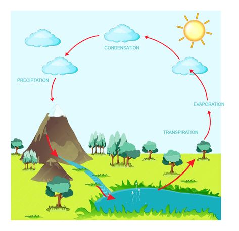 Water Circulation in the Environment Atmospheric Circulation, Science Diagrams, Earth Activities, Presentation Ideas For School, The Water Cycle, Ap Chemistry, Conservation Of Natural Resources, Physical Geography, Printable Math Worksheets