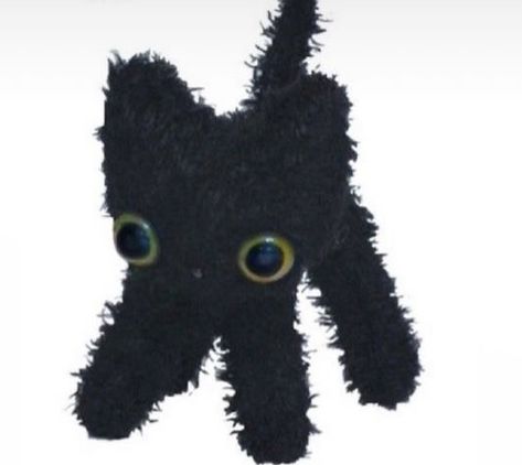 Black Cat Plush, Mr Cat, Ugly Cat, Owl Plush, Stuffed Animal Cat, Silly Cats Pictures, Cat Icon, Stuff And Thangs, Cat Doll