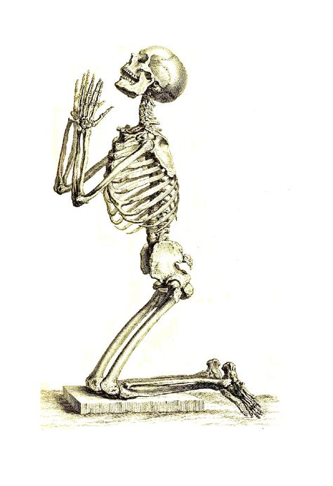 vintage Halloween skeleton praying Skeleton Sitting In Chair Drawing, Skeleton Looking Up, Skeleton Reaching Out, Skeleton Lying Down, Skeleton Laying Down, Edit Assets, Shuffles Cutouts, Vintage Halloween Images, Women Skeleton