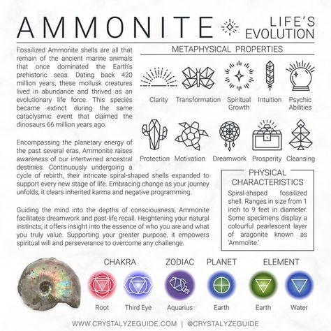 Ammonite Crystal Meaning, Ammonite Crystal, Psychic Crystals, Aquarius Planet, Christmas Oreos, Crystals Guide, Crystal Magick, Crystal Care, Charmed Book Of Shadows