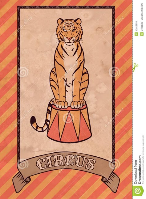 Vintage Circus Illustration, Tiger - Download From Over 37 Million High Quality Stock Photos, Images, Vectors. Sign up for FREE today. Image: 42018655 Tiger Illustration Vintage, Circus Tiger Illustration, Circus Tiger, Circus Illustration, Surreal Tattoo, Circus Wedding, Tiger Illustration, Circus Animals, Circus Art