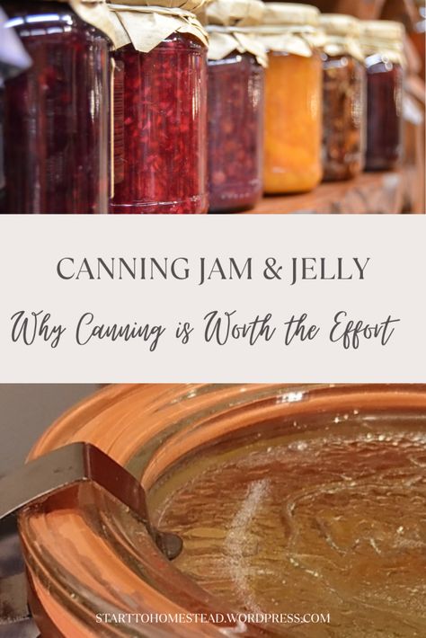 Discover the benefits of canning (wecken) your homemade jam and jelly for longer shelf life and better preservation, even with low sugar content. Learn why canning helps create a stronger vacuum seal, eliminates the need for sterilizing jars, and ensures your jam stays fresh for years. Follow simple steps to safely can your preserves and enjoy delicious jam all year round! Jam Jars Aesthetic, How To Can Jam, Jam For Canning, Easy Jam Recipe, Can Jam, Canning Jam, Jam And Jelly, Pressure Canning, Homemade Jam