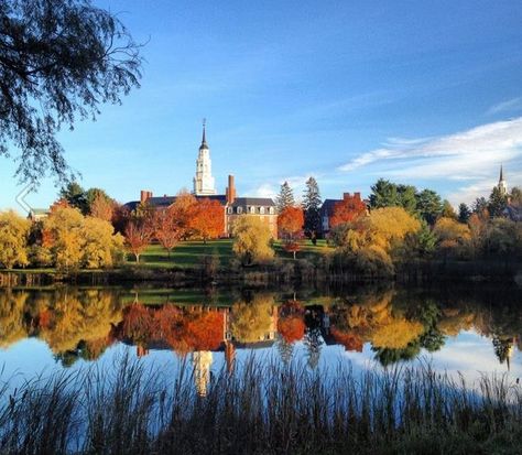 Colby College, 8 days until basketball camp!!!!! Soooo excited!! Waterville Maine, Colby College, College Photography, Basketball Camp, Family Roots, Alma Mater, Colby, 8 Days, New England