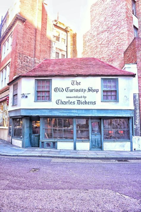 Curiosity Shop Aesthetic, Antique Taxidermy, Curiosity Art, The Old Curiosity Shop, Storefront Design, Victorian London, Curiosity Shop, Shop Illustration, Cottage In The Woods