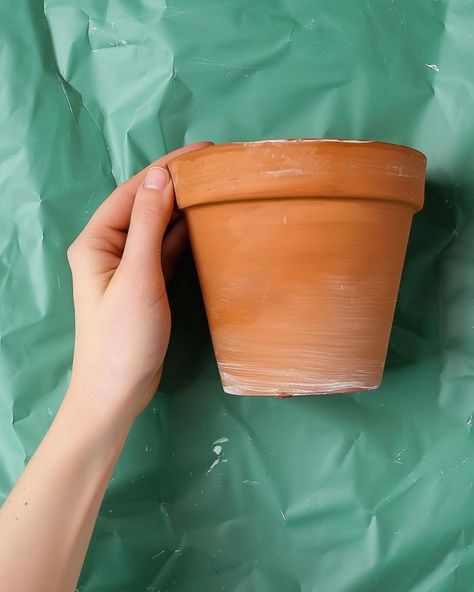 Take out a terracotta pot & copy these stunning ideas Decorating Terra Cotta Pots, Large Terracotta Pots, Pot Diy, Small Terracotta Pots, Garden Organization, Old Glass Bottles, Tiny Furniture, Fairy Garden Crafts, Plant Labels