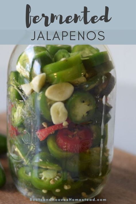 Preserve Jalapenos, Fermented Jalapeños, Fermented Jalapenos, Pepper Garden, Fermented Recipes, Fermented Vegetables Recipes, Crock Meals, Fermented Veggies, Fermented Pickles