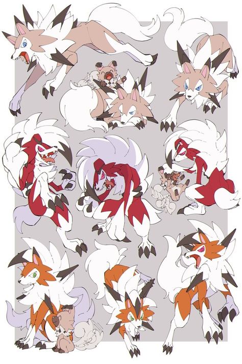 Lycanroc Pokemon, Rockruff Pokemon, Wild Pokemon, Pokemon Oc, Cute Fantasy Creatures, Pokemon Comics, Pokemon Memes, Pokemon Funny, Pokemon Teams