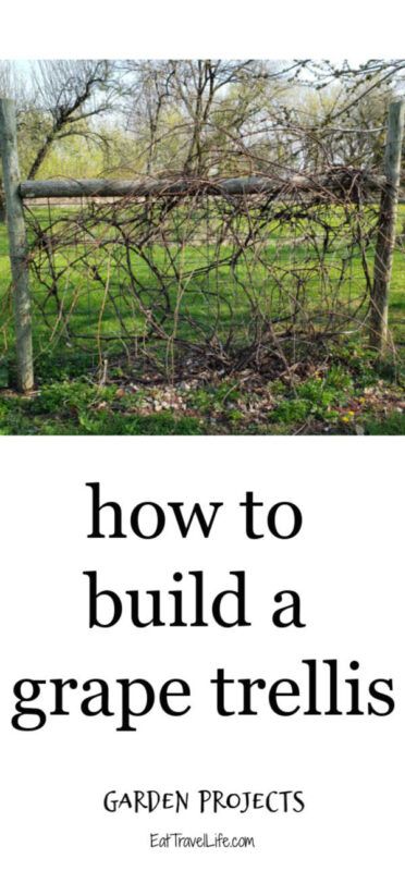 To get the most yield from your grapes, they should be supported by a trellis. This keeps the grapes off the ground. Learn how to build your own trellis. Grape Trellis Ideas Diy, Grape Arbor Ideas Diy, Grapevine Trellis Ideas, Grape Arbour, Trellis Grapes, Grape Vine Trellis Ideas, Grape Trellis Ideas, Grape Growing Trellis, Jasmine Garden