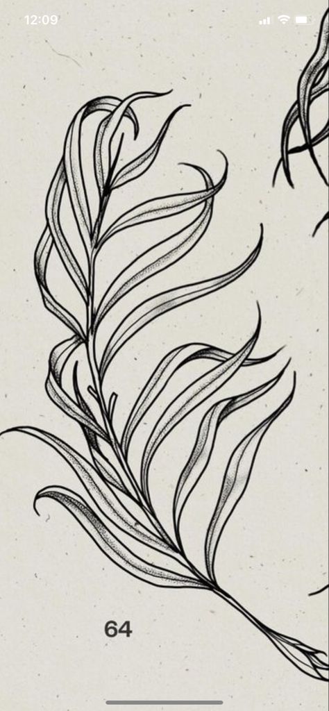 Fern Curl Tattoo, Fern Drawing Tattoo, Fern Line Tattoo, Fern Frond Tattoo, Abstract Fern Tattoo, Tattoo Apprenticeship, Tattoo Style, Henna, Body Art