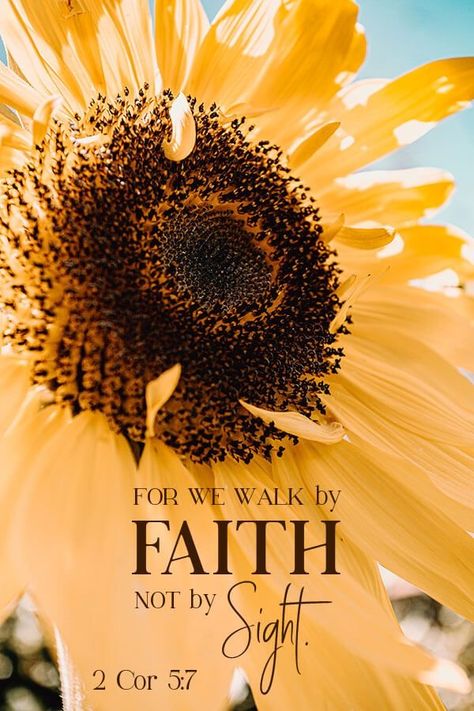 Deliverance Quotes, Sunflower Scripture, Sunflower Quotes, By Faith Not By Sight, 2 Corinthians 5 7, Bible Verse Background, Bible Quotes Images, Verses Wallpaper, Prayer Verses