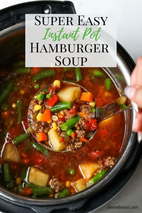 Instapot Hamburger Stew, Insta Pot Hamburger Soup Recipes, Hamburger Vegetable Soup Instant Pot, Hamburger Soup Instant Pot, Instant Pot Hamburger Soup, Clean Soup, Dinner Vegetables, Hamburger Vegetable Soup, Instant Pot Dinner