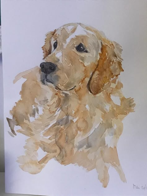 Golden Retriever Art Prints, Yellow Lab Watercolor, Painting Aesthetic Watercolor, Watercolor Painting Aesthetic, Cute Dog Watercolor, Watercolor Painting Video, Watercolour Dogs, Portrait Easy, Golden Retriever Watercolor