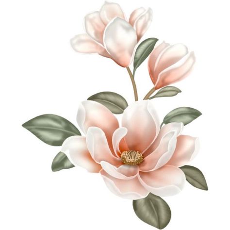 Flower Art Drawing, Flower Painting Canvas, Floral Drawing, Flower Art Images, China Painting, Inspirational Artwork, Magnolia Flower, Digital Flowers, Flower Art Painting