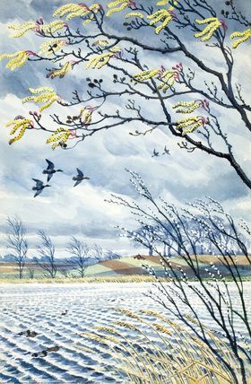 C F Tunnicliffe - Mallard Ducks Snowy Paintings, Charles Tunnicliffe, Uk Wildlife, Children's Book Illustrations, Book Printing, British Artists, Naive Illustration, Between Two Worlds, Nostalgic Images