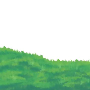 green,grass,illustration,green grass,cartoon grass,plant,green plants,spring,flowers,grass illustration,green grassland,grassland,vegetation,beautiful grass,nature,lawn,cartoon green grass,grass growth,cartoon green grass illustration,green grass cartoon illustration,midjourney,plant grass illustration,free,green leaf,season,green grass decoration illustration,outdoor grassland Cartoon Island, Cartoon Grass, Grass Decoration, Grass Drawing, Grass Illustration, Grassy Hill, Decoration Illustration, Cartoon Green, Grasses Garden