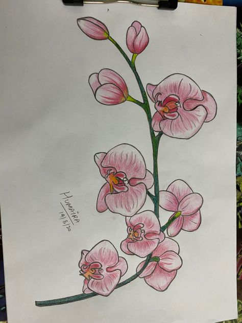 Orchid Flower Drawing, Orchids Drawing, Orchid Flower Tattoos, Orchid Drawing, Orchids Flowers, Orchid Flower, Trader Joes, Flower Tattoos, Flower Drawing