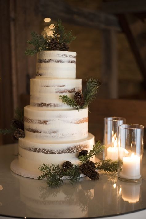 Winter Minimalist Wedding, Winter Wedding Cake And Cupcakes, One Tier Winter Wedding Cake, Fairy Winter Wedding, Wedding Cake Winter Elegant, Wedding In The Winter, Elegant Winter Wedding Cake, Winter Wedding Cakes Elegant, December Wedding Cake Ideas