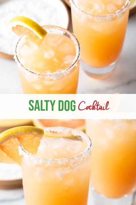 Salty Dog Cocktail - This retro Salty Dog drink recipe is made with vodka and grapefruit juice, plus a splash of bubbly club soda. Enjoy this classic summery cocktail with your fave sweet and salty garnishes! There are lots of fun ways to jazz up these classic cocktails... Try with cayenne to give a kick of heat, grapefruit soda for more tangy summer flavor, or a drizzle of agave for extra sweetness. Only 5 ingredients and ready in 3 minutes! | A Spicy Perspective Salty Dog Drink, Club Soda Drinks, Salty Dog Cocktail Recipe, Salty Dog Cocktail, Unique Alcoholic Drinks, Dog Cocktail, Unique Cocktail Recipes, Party Drinks Alcohol, A Spicy Perspective