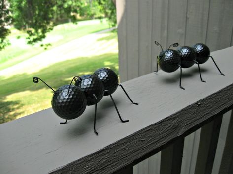 5 Bug crafts for kids – SheKnows Golf Ball Ants, Ant Craft, Ball Craft, Crafts Outdoor, Ant Crafts, Recycle Craft, Craft Summer, Golf Ball Crafts, Bug Crafts