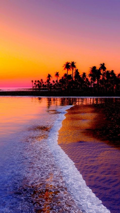 tropical island sunset Sunsets Hawaii, Summer Hawaii, Trees Wallpaper, Palm Tree Sunset, 수채화 그림, Trendy Wallpaper, Sun Sets, Beautiful Sunset, Beach Sunset